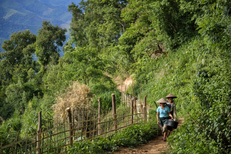 LIVELIHOOD DEVELOPMENT FOR SUSTAINABLE FOREST GOVERNANCE IN NORTHERN LAOS