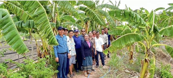 Revitalizing agriculture in drought zones of Laos